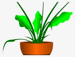 Original - نباتات كرتون #4930941