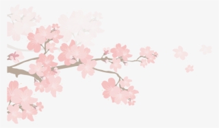 Curriculum Details - ซากุระ Png #4933058 Curriculum Details - ซากุระ Png #4933058
