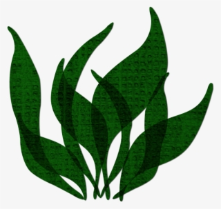 Continue - Png Seaweed #4934169