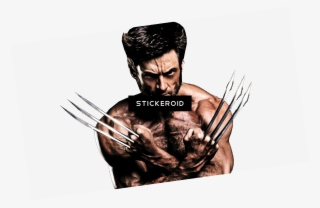 Hugh Jackman Celebrity - Logan Wolverine #4934971