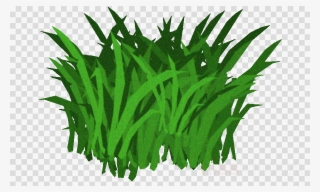 Transparent Seaweed Clipart Seaweed Kelp Clip Art - Kelp Clipart #4935038