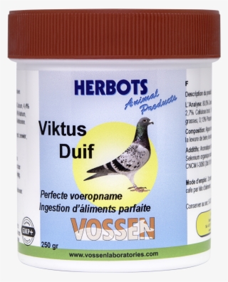 Prize Of Viktus Pigeon #4936177 Prize Of Viktus Pigeon #4936177