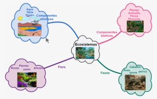 Australian Animals #4937411