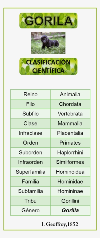 Tabla - Endangered Species #4937853