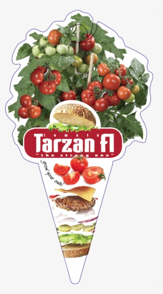 Click To Open Image Click To Open Image #4937984