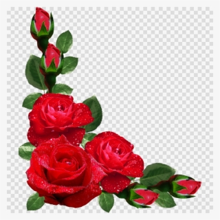 Rose Corner Border Png Clipart Rose Clip Art - Happy Anniversary With Photo Edit #4938445
