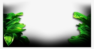 Tarzan-background3 - Illustration #4938866