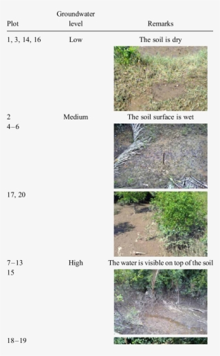 Groundwater Condition For Moist Soil - Soil #4940234