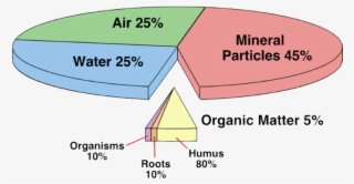Soil & Soil Structure - Component Of Soil #4940786