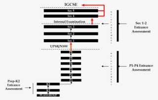 Edu Roadmap - Education #4941839