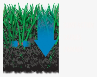 The Spring Tine Rake Works In The Upper Two-thirds - Grass #4942751