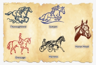 Graphics - Dressage Outline Embroidery Design #4944619