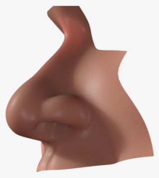 Nose Realistic Nose Human Nose 3d Model Max Obj Mtl - Sculpture #4945054