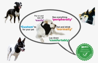 Best Alternative Care For Dog Cat Bird Best Alternative - Dog Neck Brace Collar #4945240