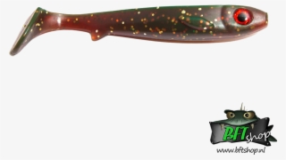 Flatnose Shad #4945558