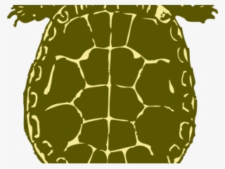 Sea Turtle Clipart Kura Kura - Green Turtle Shower Curtain #4946210