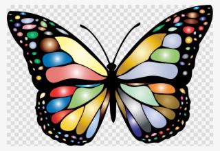 Clip Art Monarch Butterfly Clipart Monarch Butterfly - Different Colors Of Butterfly #4946338