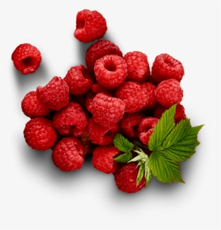 Raspberries - Frutti Di Bosco #4948090