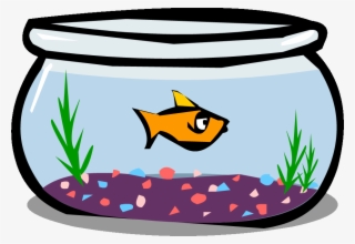 Fish Bowl PNG, Transparent Fish Bowl PNG Image Free Download - PNGkey