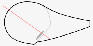 In Addition To Allowing The Left Pinky Finger To Act #4949680