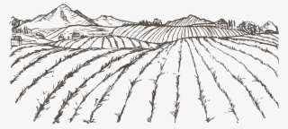 Kisspng Agriculture Farmer Drawing Sketch Field 5a83b1edcaa502 - Drawing Of Agriculture #4950716