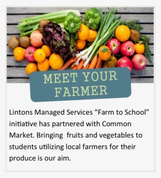 Meet Your Farmer - Supa Iga Riverside #4950937