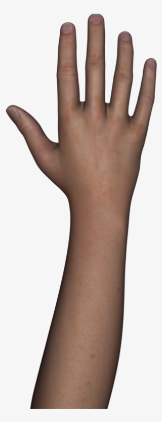 Transparent Arms Background Png Library - Sign Language #4951525