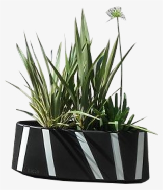 Tmp Zipper Planter Cycle Lane Separator - Bicycle #4954694