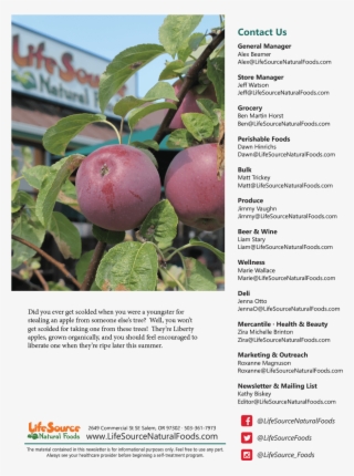View As Magazine - Apple #4955878