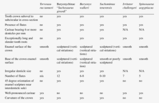 Tooth Characters In Torvosaurus Tanneri And Spinosaurid - Torvosaurus #4955942