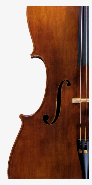 Cello Fhole - Cello #4956196