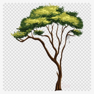 Africa Tree Png Clipart Tree Clip Art - Tree Of Tales #4957445 Africa Tree Png Clipart Tree Clip Art - Tree Of Tales #4957445