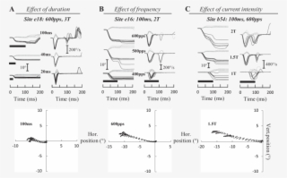 The Time Course Of Eye Position Is Shown After Electrical - Diagram #4958191