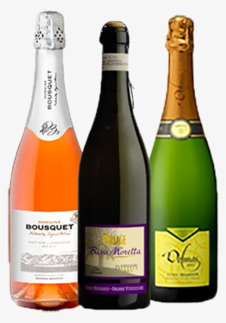 Sparkling Pack - Glass Bottle #4959247