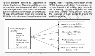 Conceptual Framework Of Non-muslim Consumers Awareness, - Conceptual Framework For Level Of Awareness #4960278