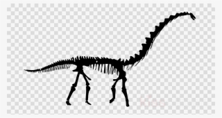 Download Rapetosaurus Skeleton Vinyl Wall Decals Quotes #4961487