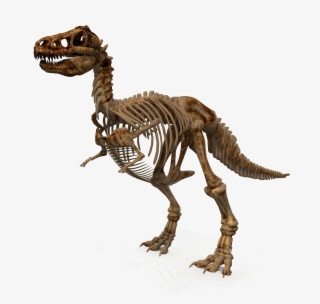 1900 X 1808 #4961672