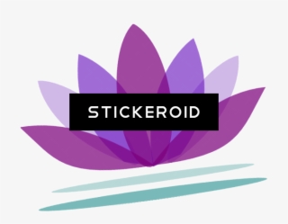 Lotus Flower - Online Shopping #4962993