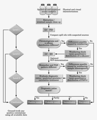 Protocol/decision Chart For The Oil Spill Identi®cation - Science #4965022