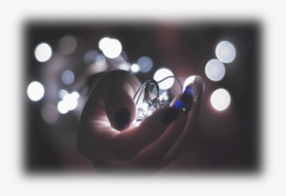 4sight Christmas Appeal - Light And Hand Photography #4965146