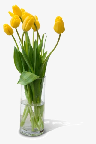 Flower Vase Png Free Download - Flower Pot Design Png #4966143