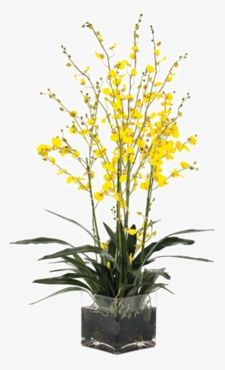 Flower Vase Png Transparent Picture - Vase #4966335