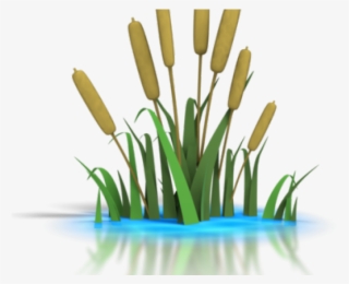 Reed Clipart Lily Pad Pond - Pond Clip Art #4967519