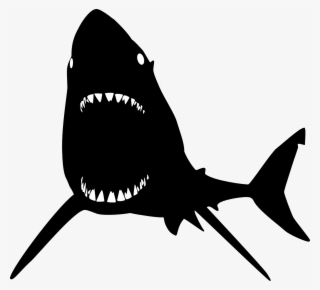 Black And White Shark Png #4967886 Black And White Shark Png #4967886