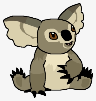 New South Wales Koala - New South Wales #4969663