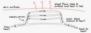 Diagram #4969715