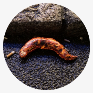 'bubble Tea' By Pane Project, Milan - Bird's Eye Chili #4971425