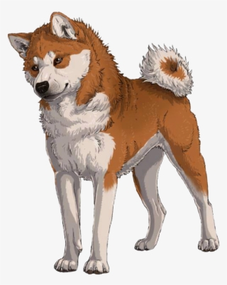 Love This Artwork American Akita, Inu, Dog Drawings, - Hachikō #4971836
