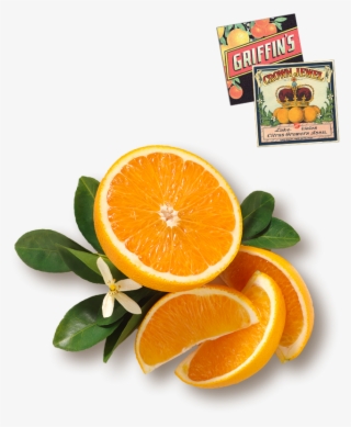 Orange Juice #4972691