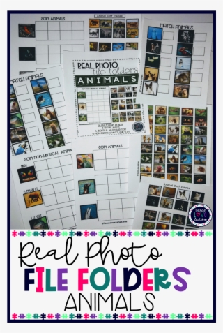 These File Folders Allow For Students To Match Identical - Special Education #4973607